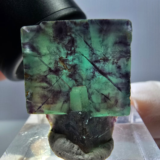 Seltene Phantom Fluorit Würfel Stufe, grün lila Okorusu, Namibia 23*18*15mm