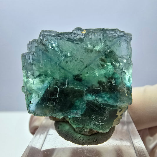 Klarer Phantom Fluorit Würfel parkettiert, grün Okorusu, Namibia 27*25*18mm