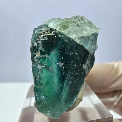 Klarer Phantom Fluorit Würfel parkettiert, grün Okorusu, Namibia 42*31*28mm