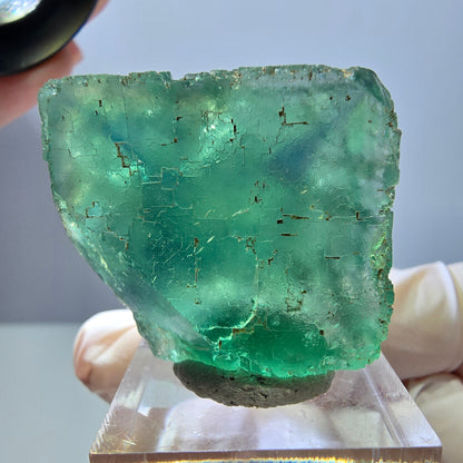 Klarer Phantom Fluorit Würfel parkettiert, grün Okorusu, Namibia 31*29*16mm