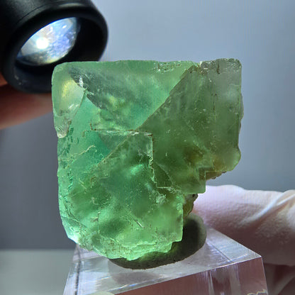 Klarer Phantom Fluorit Würfel parkettiert, grün Okorusu, Namibia 30*29*29mm