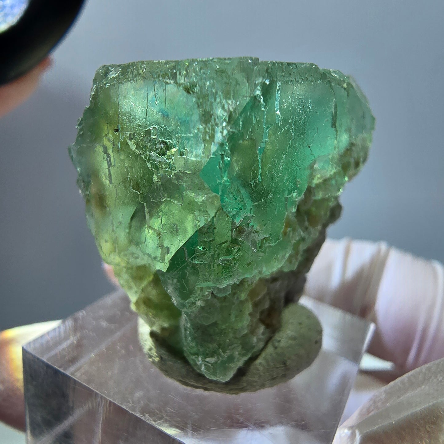 Klarer Phantom Fluorit Würfel parkettiert, grün Okorusu, Namibia 32*27*22mm