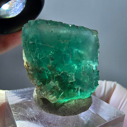 Klarer Phantom Fluorit Würfel parkettiert, grün Okorusu, Namibia 23*22*20mm