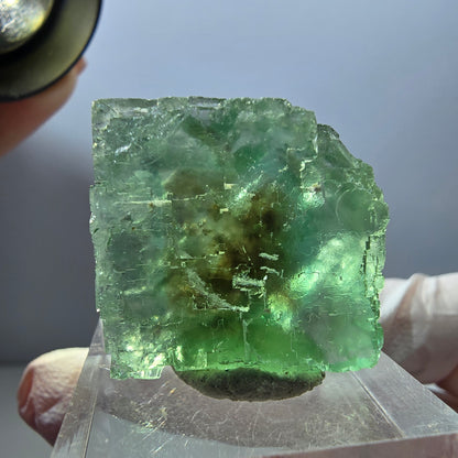 Klarer Phantom Fluorit Würfel parkettiert, grün Okorusu, Namibia 25*23*16mm