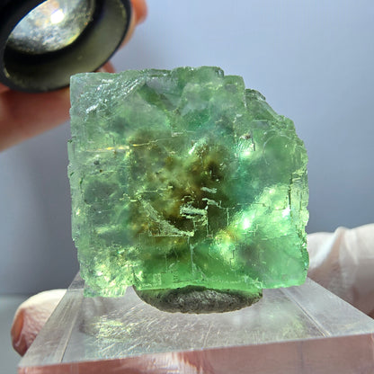Klarer Phantom Fluorit Würfel parkettiert, grün Okorusu, Namibia 25*23*16mm