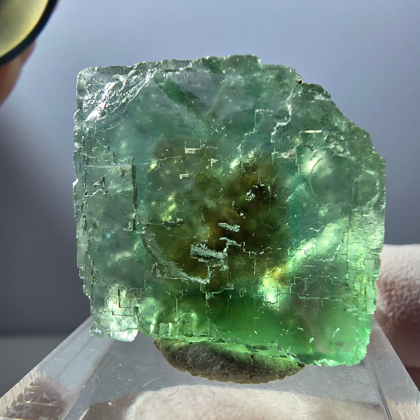 Klarer Phantom Fluorit Würfel parkettiert, grün Okorusu, Namibia 25*23*16mm