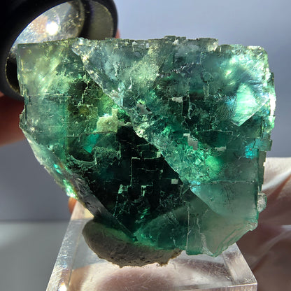 Klarer Phantom Fluorit Würfel parkettiert, grün Okorusu, Namibia 37*32*28mm