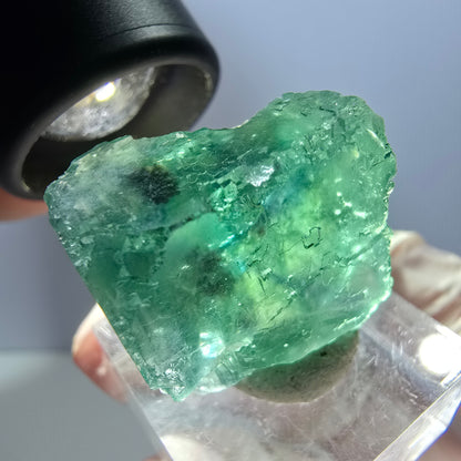 Klarer Phantom Fluorit Würfel parkettiert, grün Okorusu, Namibia 24*24*20mm