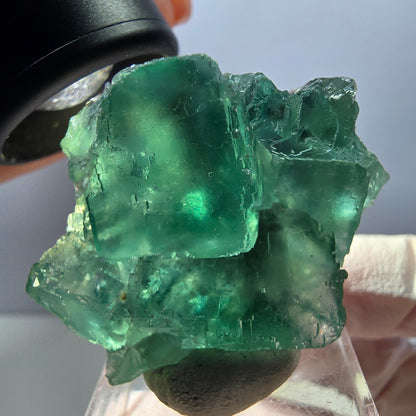 Klarer Phantom Fluorit Würfel parkettiert, grün Okorusu, Namibia 40*32*16mm