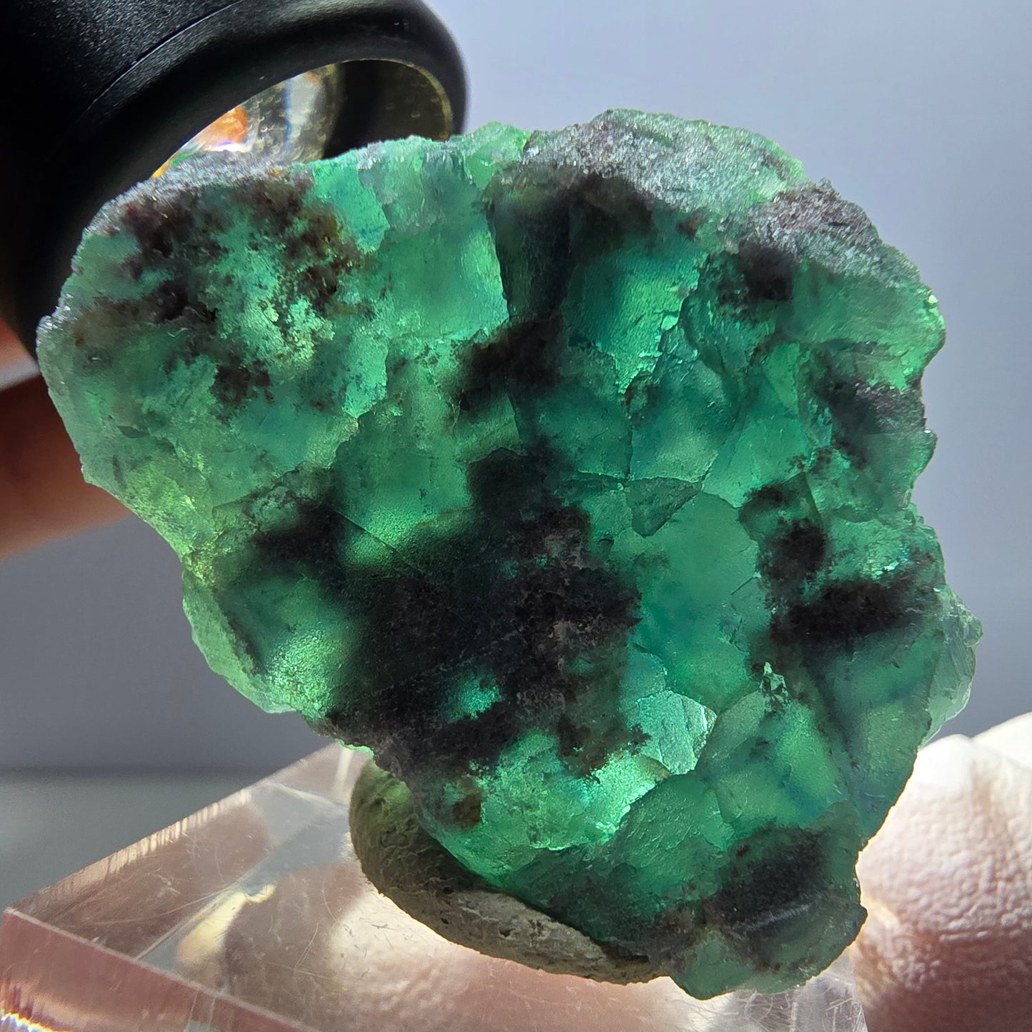 Klarer Phantom Fluorit Würfel parkettiert, grün Okorusu, Namibia 40*32*16mm