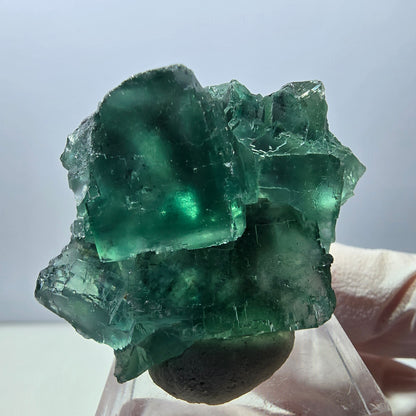 Klarer Phantom Fluorit Würfel parkettiert, grün Okorusu, Namibia 40*32*16mm