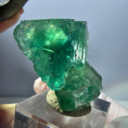 Klarer Phantom Fluorit Würfel parkettiert, grün Okorusu, Namibia 35*31*23mm