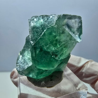 Klarer Phantom Fluorit Würfel parkettiert, grün Okorusu, Namibia 30*28*17mm