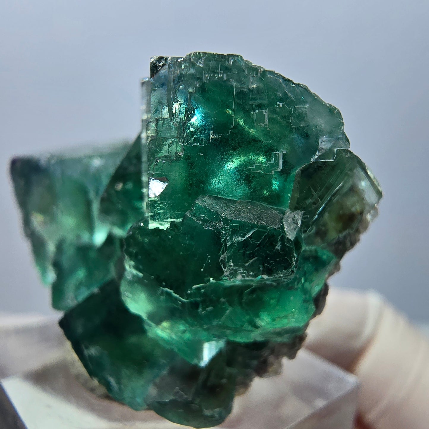 Klarer Phantom Fluorit Würfel parkettiert, grün Okorusu, Namibia 38*28*22mm