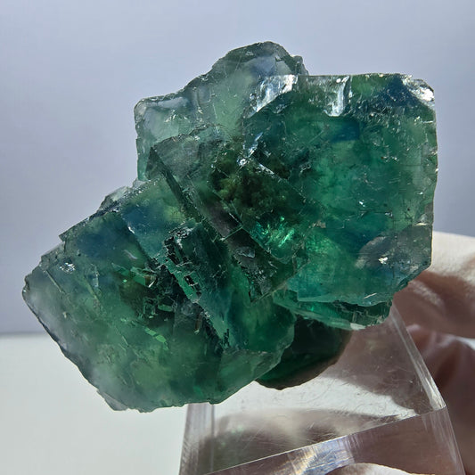 Klarer Phantom Fluorit Würfel parkettiert, grün Okorusu, Namibia 49*36*22mm