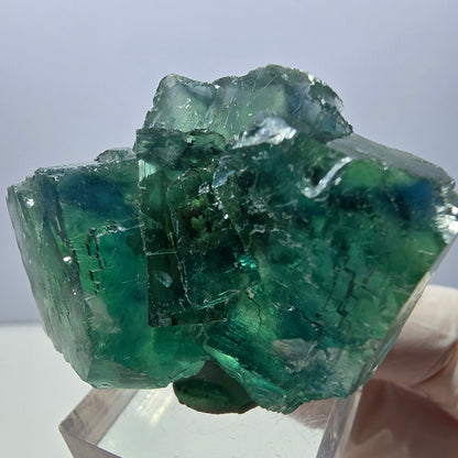 Klarer Phantom Fluorit Würfel parkettiert, grün Okorusu, Namibia 49*36*22mm