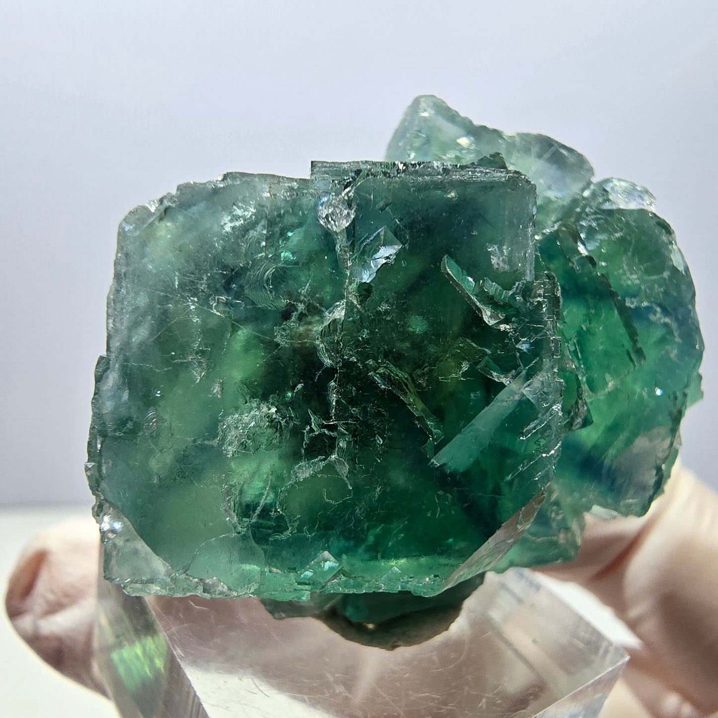 Klarer Phantom Fluorit Würfel parkettiert, grün Okorusu, Namibia 49*36*22mm