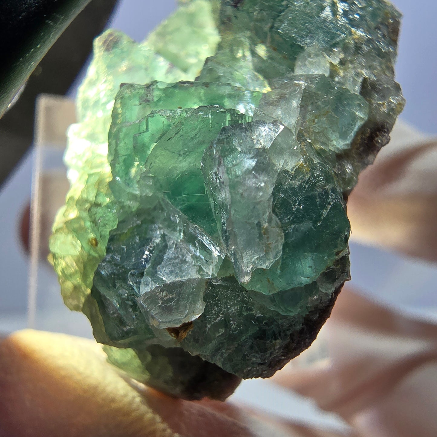 Klarer Phantom Fluorit Würfel parkettiert, grün Okorusu, Namibia 49*23*16mm