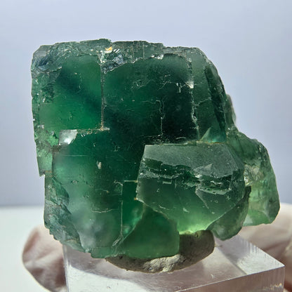 Klarer Phantom Fluorit Würfel parkettiert, grün Okorusu, Namibia 38*31*30mm