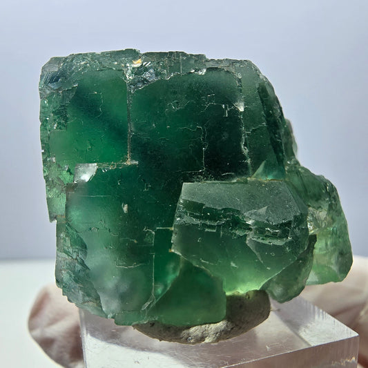 Klarer Phantom Fluorit Würfel parkettiert, grün Okorusu, Namibia 38*31*30mm