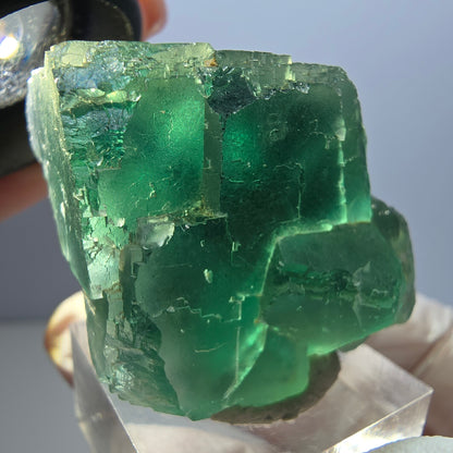 Klarer Phantom Fluorit Würfel parkettiert, grün Okorusu, Namibia 38*31*30mm