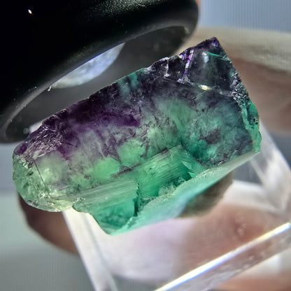 Klarer Phantom Fluorit Würfel, grün lila Okorusu, Namibia 19*18*11mm