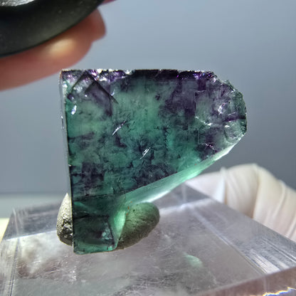 Klarer Phantom Fluorit Würfel, grün lila Okorusu, Namibia 19*18*11mm