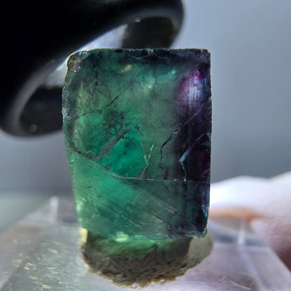Klarer Phantom Fluorit Würfel, grün lila Okorusu, Namibia 19*17*11mm