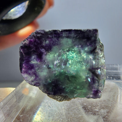 Klarer Phantom Fluorit Würfel, grün lila Okorusu, Namibia 18*14*12mm