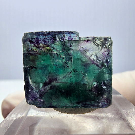 Klarer Phantom Fluorit Würfel, grün lila Okorusu, Namibia 18*16*11mm
