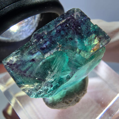 Klarer Phantom Fluorit Würfel, grün lila Okorusu, Namibia 18*16*11mm