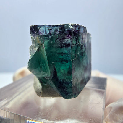 Klarer Phantom Fluorit Würfel, grün lila Okorusu, Namibia 18*16*11mm