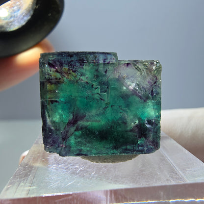 Klarer Phantom Fluorit Würfel, grün lila Okorusu, Namibia 18*16*11mm
