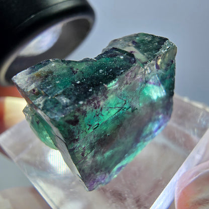 Klarer Phantom Fluorit Würfel, grün lila Okorusu, Namibia 18*16*11mm