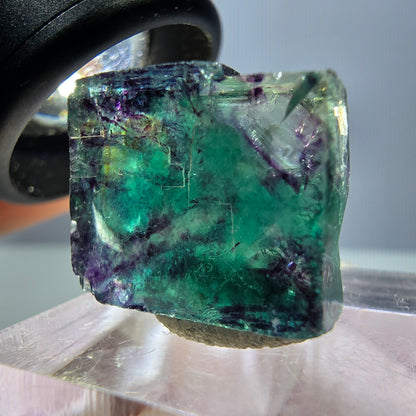 Klarer Phantom Fluorit Würfel, grün lila Okorusu, Namibia 18*16*11mm