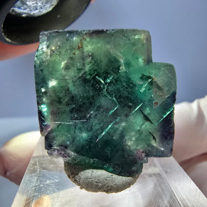 Klarer Phantom Fluorit Würfel, grün lila Okorusu, Namibia 24*22*13mm