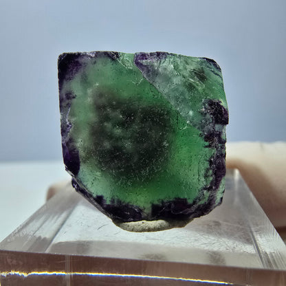 Klarer Phantom Fluorit Würfel, grün lila Okorusu, Namibia 20*19*18mm