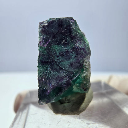 Klarer Phantom Fluorit Würfel, grün lila Okorusu, Namibia 23*20*11mm
