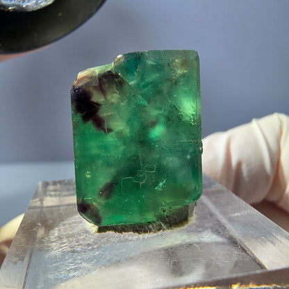Klarer Phantom Fluorit Würfel, grün lila Okorusu, Namibia 19*14*13mm