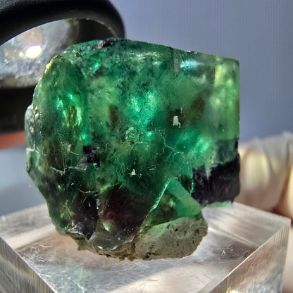 Klarer Phantom Fluorit Würfel, grün lila Okorusu, Namibia 22*19*19mm