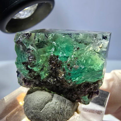 Klarer Phantom Fluorit Würfel, grün lila Okorusu, Namibia 23*21*16mm