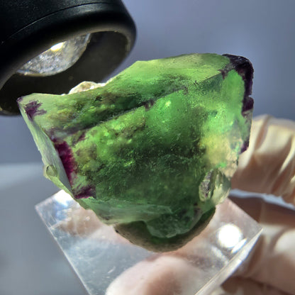 Klarer Phantom Fluorit Würfel, grün lila Okorusu, Namibia 28*28*17mm