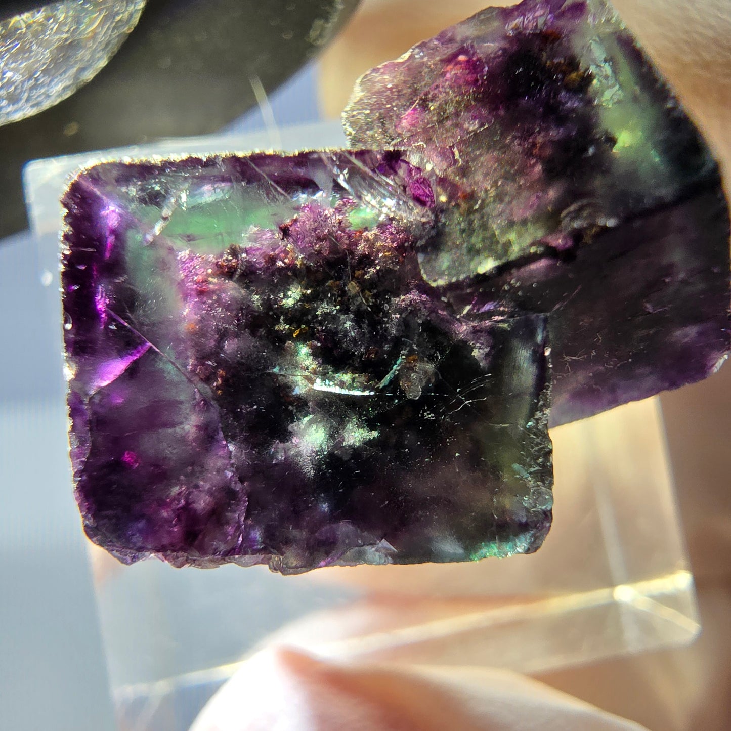 Klarer Phantom Fluorit Würfel, grün lila Okorusu, Namibia 23*15*16mm