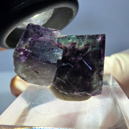 Klarer Phantom Fluorit Würfel, grün lila Okorusu, Namibia 23*15*16mm