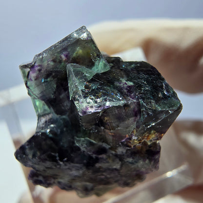 Klarer Phantom Fluorit Würfel, grün lila Okorusu, Namibia 24*19*16mm