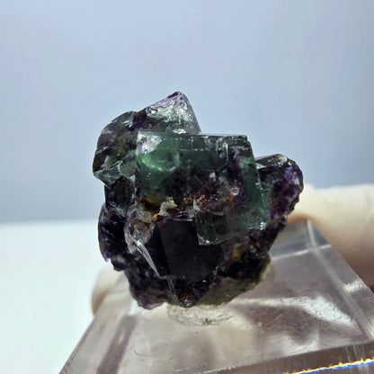 Klarer Phantom Fluorit Würfel, grün lila Okorusu, Namibia 24*19*16mm