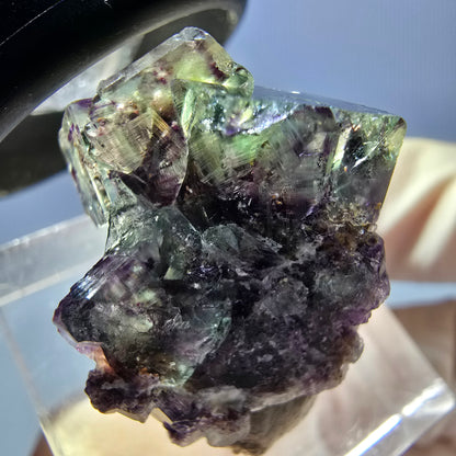 Klarer Phantom Fluorit Würfel, grün lila Okorusu, Namibia 24*19*16mm