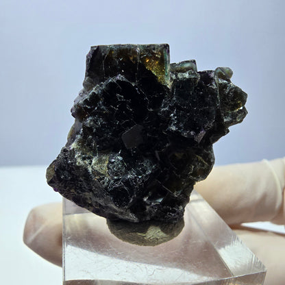 Phantom Fluorit Würfel Stufe, grün lila braun Okorusu, Namibia 33*29*12mm