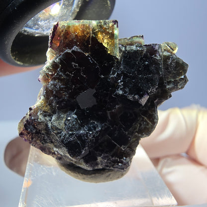 Phantom Fluorit Würfel Stufe, grün lila braun Okorusu, Namibia 33*29*12mm