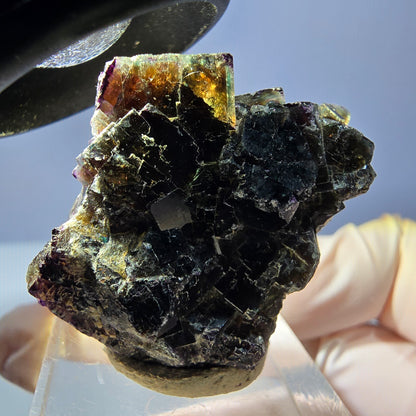 Phantom Fluorit Würfel Stufe, grün lila braun Okorusu, Namibia 33*29*12mm